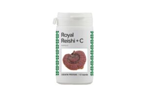 reishi-gljiva